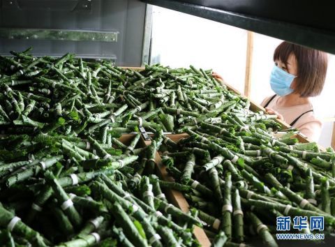村民在道虎沟乡上泉|河北平泉：宠物饲料微工厂助脱贫
