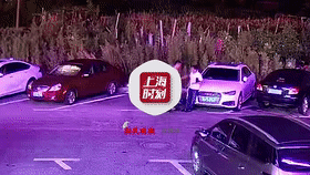 手包|报应!男子悄悄将包踢到车底,随即盗窃得手,没想到第二天…