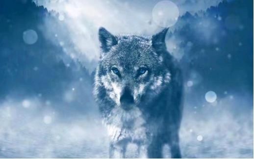  公司|员工业绩不达标吃死神辣条，进医院救治，职场霸凌还要毁掉多少人