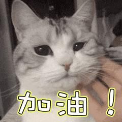 选中|央视搞选秀、信小呆转让锦鲤…被选中的都是“天选之子”吧！