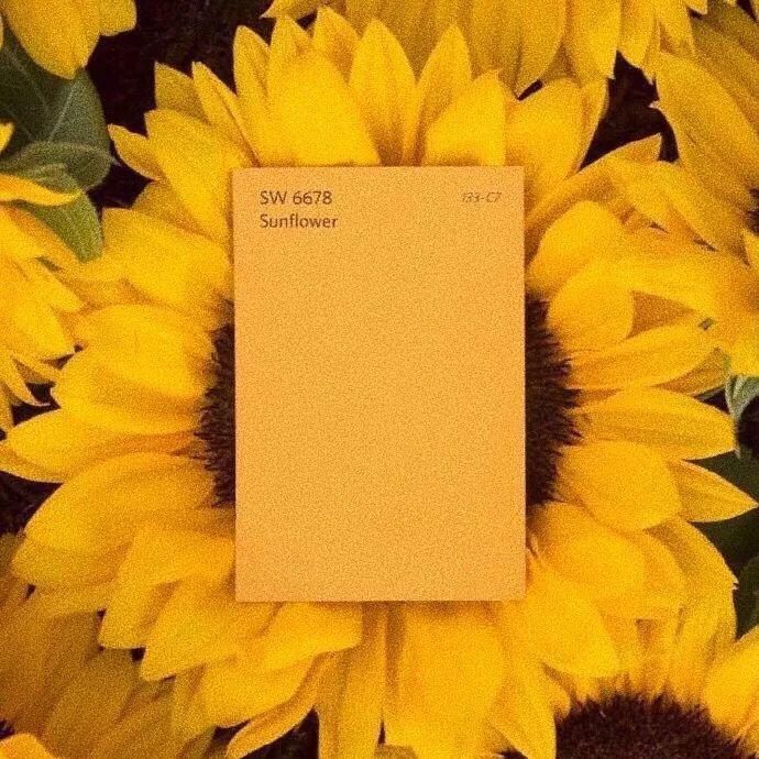  背景图|朋友圈背景图 | 行至春深