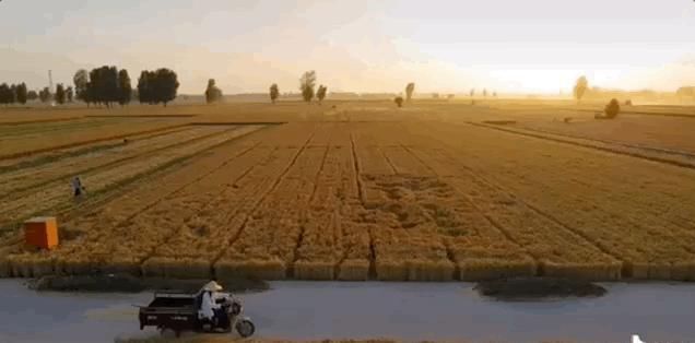  奶奶|那些从大城市消失的年轻人，躲进了深山拍抖音。