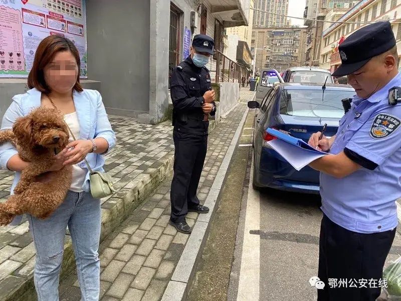 文明城市|文明城市创建：别让自己和喜爱的狗狗成为不文明......