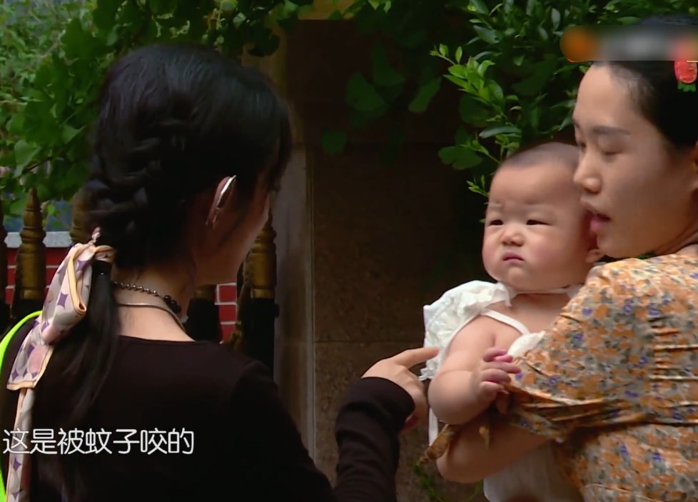  嘉宾们|黄晓明李浩菲都在专心揽客，赵丽颖却不一样，这举动我没看错吧