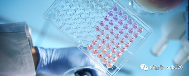  时间|MPD病友会——帮助渠道汇总（不限时间）