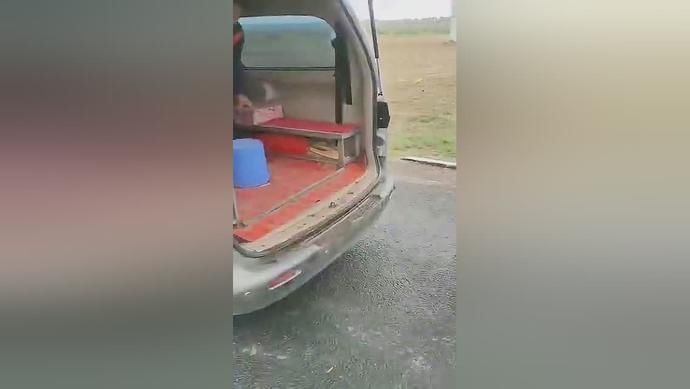  超员|【典型案例】四子王旗交警查获一起面包车超员违法行为