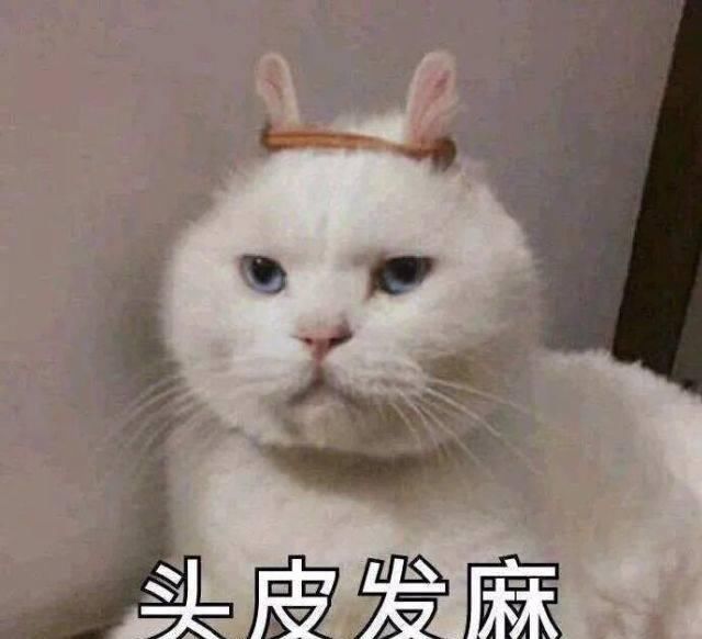 郑恺|跑男100期，笑着笑着就哭了