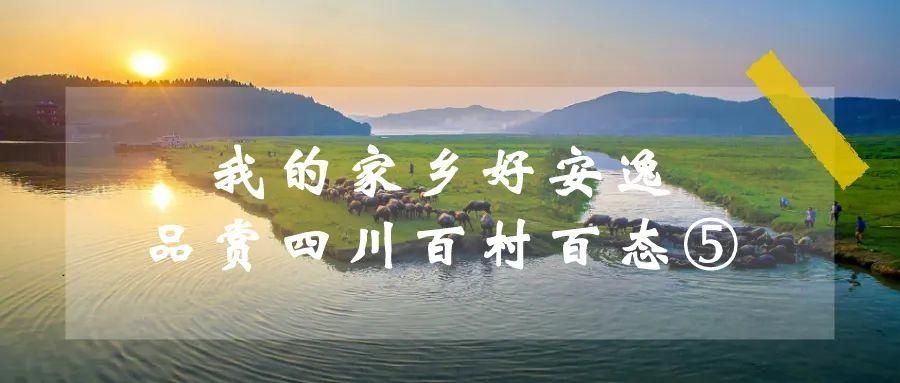 飞凤镇桥亭|村里有个桃花源!一起去吗~