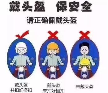  来到|全国知名相声演员来到金山，竟然是为了这件重要的事...