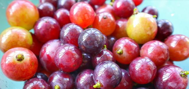 葡萄|葡萄表面的白霜是农药吗？这样洗葡萄，才能吃得放心，吃的健康