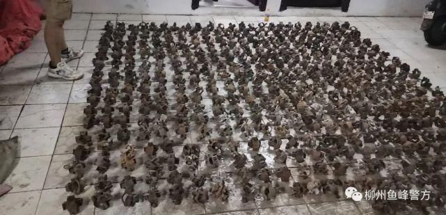 警方|聚焦民生案 | 警方追回600个被盗管扣，画面是这样的...