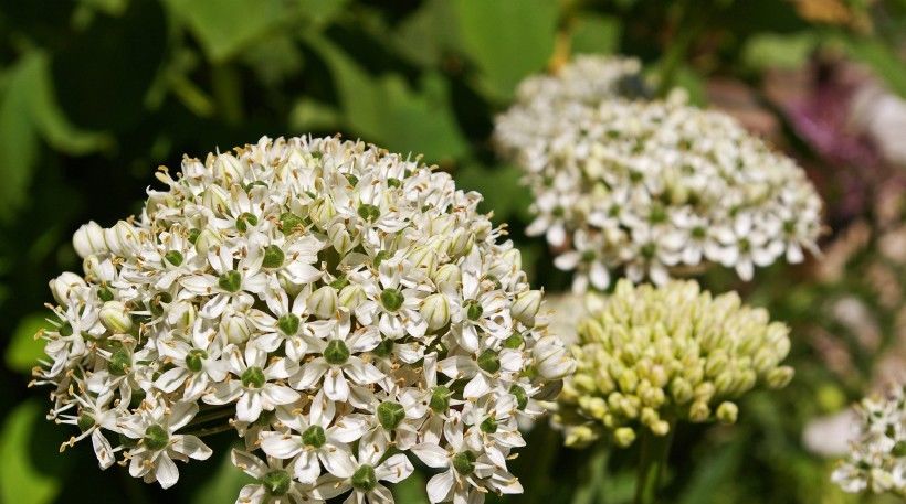  巨蟹座的人|不会错好时机走上人生巅峰，8月好运爆棚的四星座