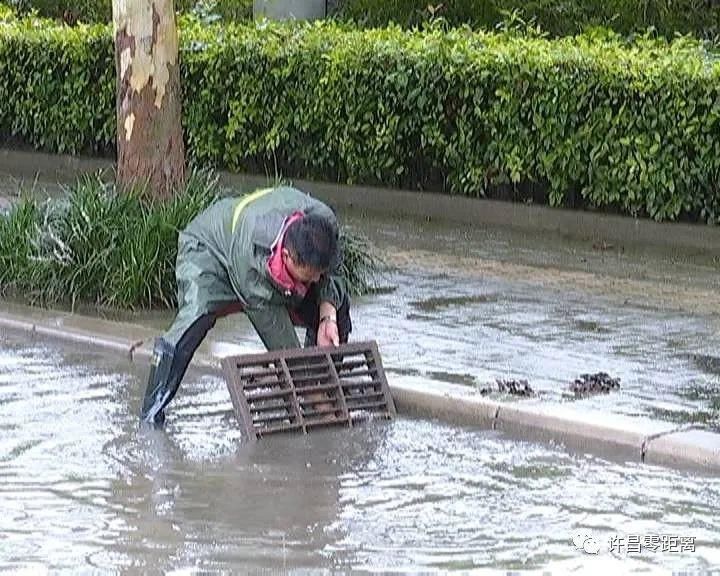 清扫|暴雨突袭！排水、清扫……他们在行动！