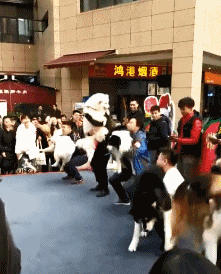 收费|“找托尼老师剪的发型,收费要5800”看了成品才知贵在哪,哈哈哈哈哈