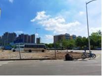 理应|【创文进行时】不回避,不遮丑!这些不文明现象理应整改