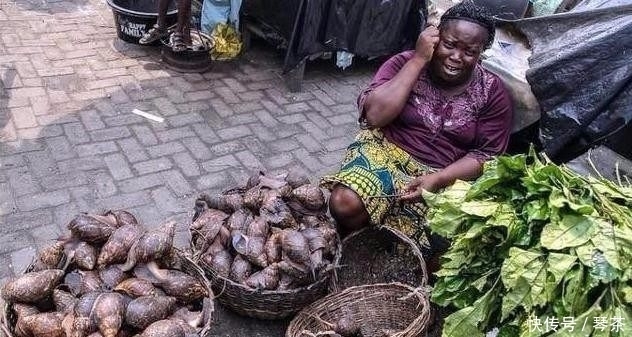 非洲|非洲黑人农村集市里卖的食物，国人大都不敢吃