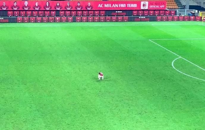  原创|原创丨三十而已，三十几而已