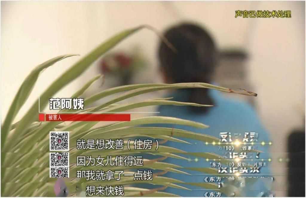  罪恶|反诈实录：罪恶之源