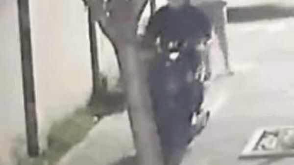 电瓶车|姑娘穿热裤出门遛狗，电瓶车开过，尴尬的一幕发生了！