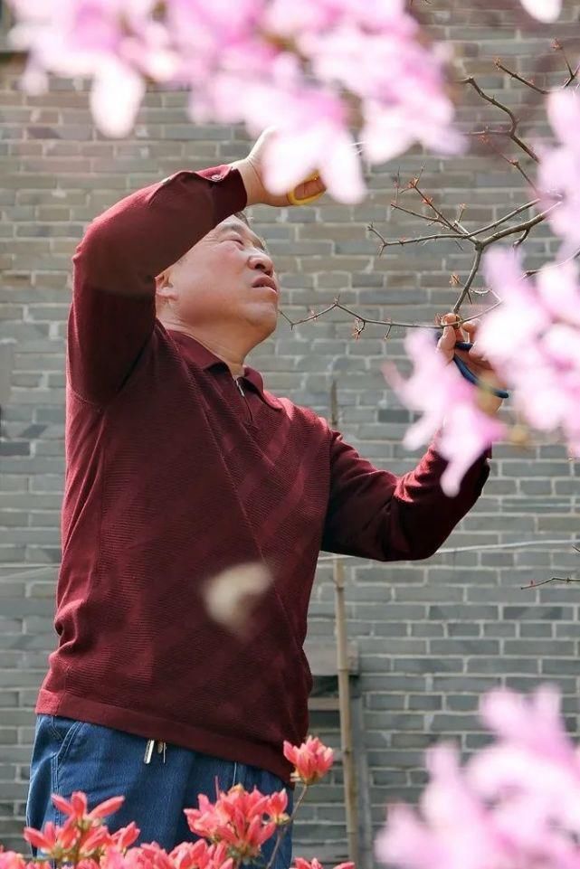 盆景|金寨一帮退休的老家人，都能玩一手绝活！