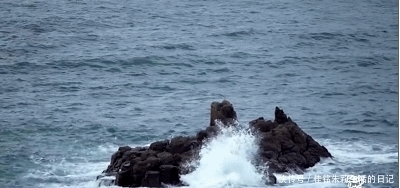 好评|综艺推荐:腾讯这部冷门综艺,没流量,没收视,可广受好评!