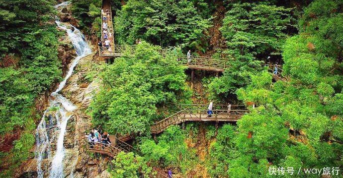  森林|高温席卷的初夏，不如去这些堪比童话仙境的小众森林里乘个凉！