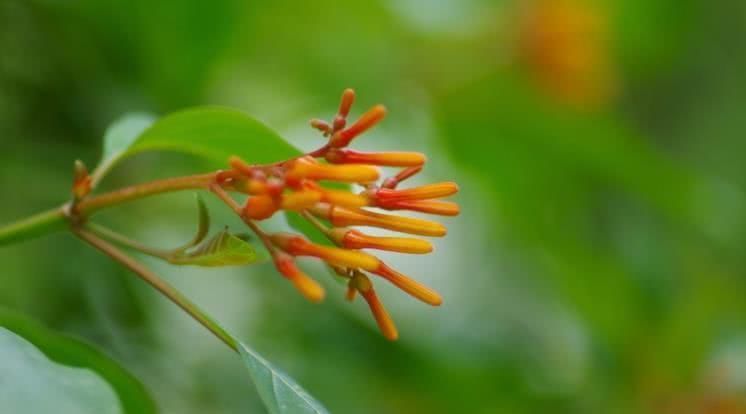  四大|8月开始财运最旺，脚踏祥云，事业大顺，福星高照的四大生肖