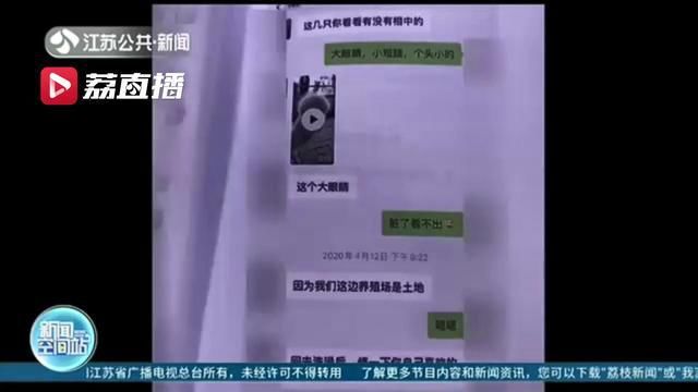  拉黑|女子二手货平台上万元买羊驼，对方让在其他平台付钱：刚支付完就被拉黑