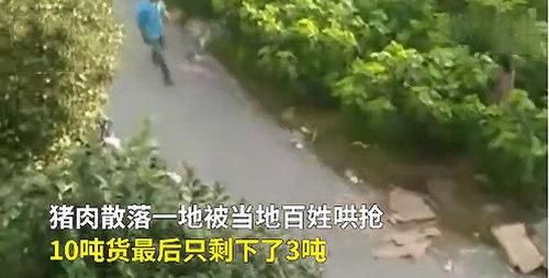  散落|高速公路一货车被追尾，车上猪肉10吨散落遭附近村民哄抢，现5人被行拘