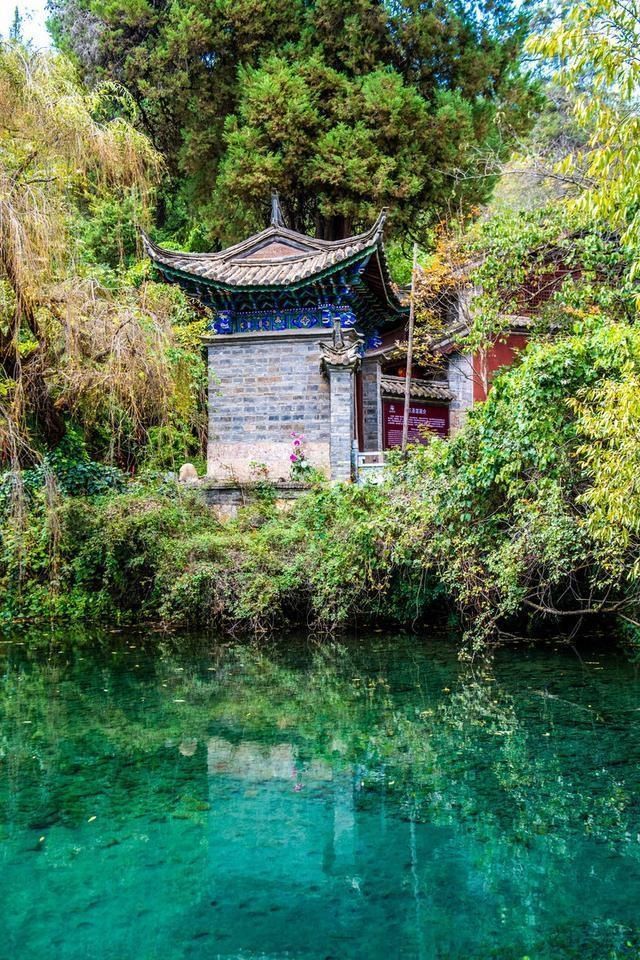 人才|丽江的束河古镇有多美！一方龙潭滋养一方净土，只有去过的人才懂