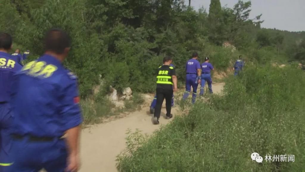  寻找|点赞！生死搜救 老人失踪7天后找到了