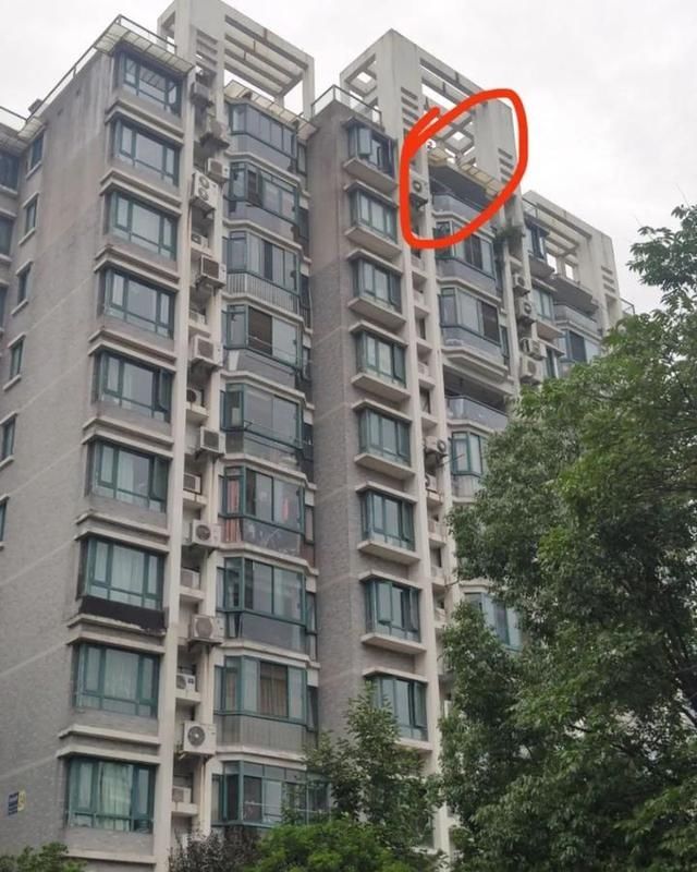 老伴|老伴吓得双腿发软！杭州退休大伯楼顶露台种菜，差点掉下11楼