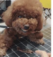  人生|搞笑GIF：孩子或许这是你人生的巅峰，你要懂的珍惜