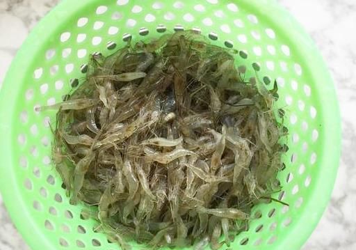 隔三差五|秋天隔三差五吃这河虾，肉质鲜嫩味道美，做法特简单，健康又养生
