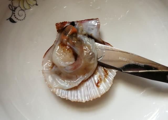 餐馆|蒜末粉丝蒸扇贝的生活中做法,多了这2步比餐馆做的更香,一盆不足