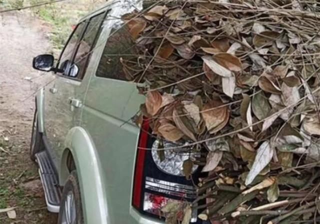  用来|80万豪车被大爷用来拉柴火，车主：我也很心疼，但他比车更重要！