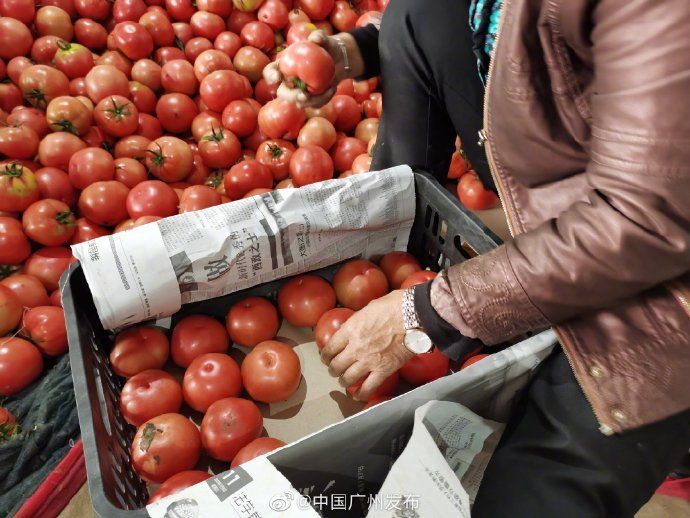 发货|发货啦!你饭桌上的菜,竟然是从这里打包发货的