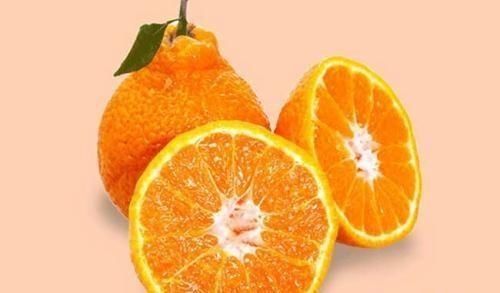 好吃|长得丑吃得香,好吃的丑橘到底应该怎么挑,下次可别再挑错了
