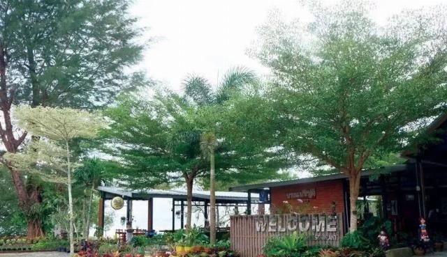 米其林|普吉岛米其林和必比登餐厅推荐攻略,碧海蓝天沙滩少不了美食相伴