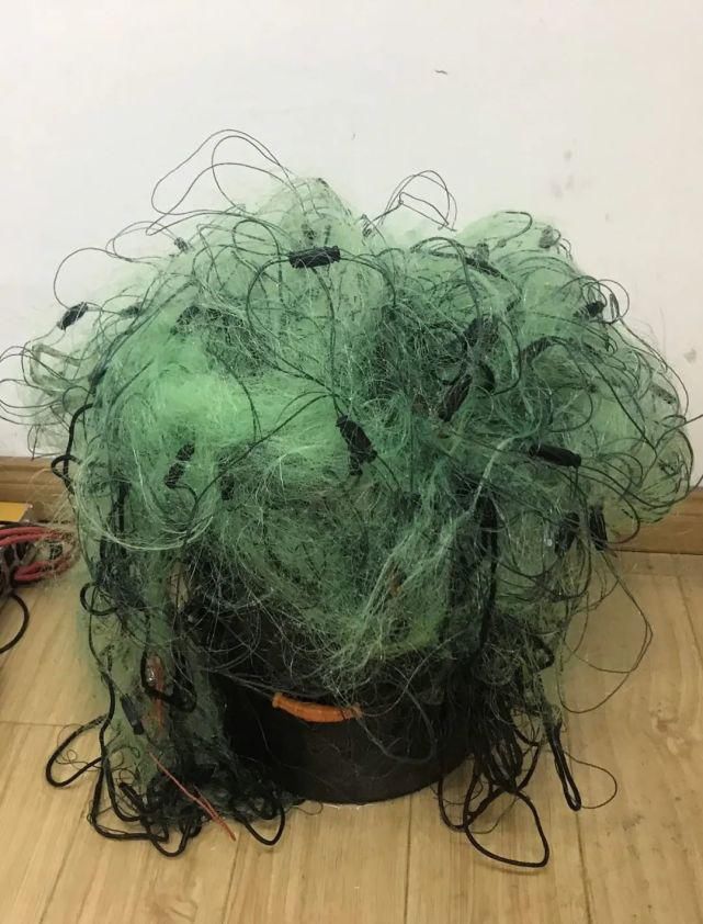 举报|举报！最高奖励2万元！