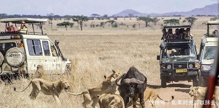  场面|这7张照片场面动人心魄，张张让人看了心惊肉跳，像丢了魂一样