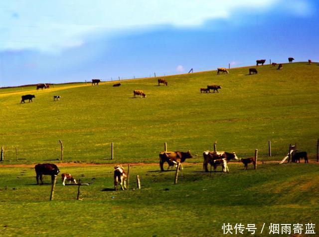 上榜|我国名字最“洋气”的5座城市,香格里拉上榜,最后一个竟在东北