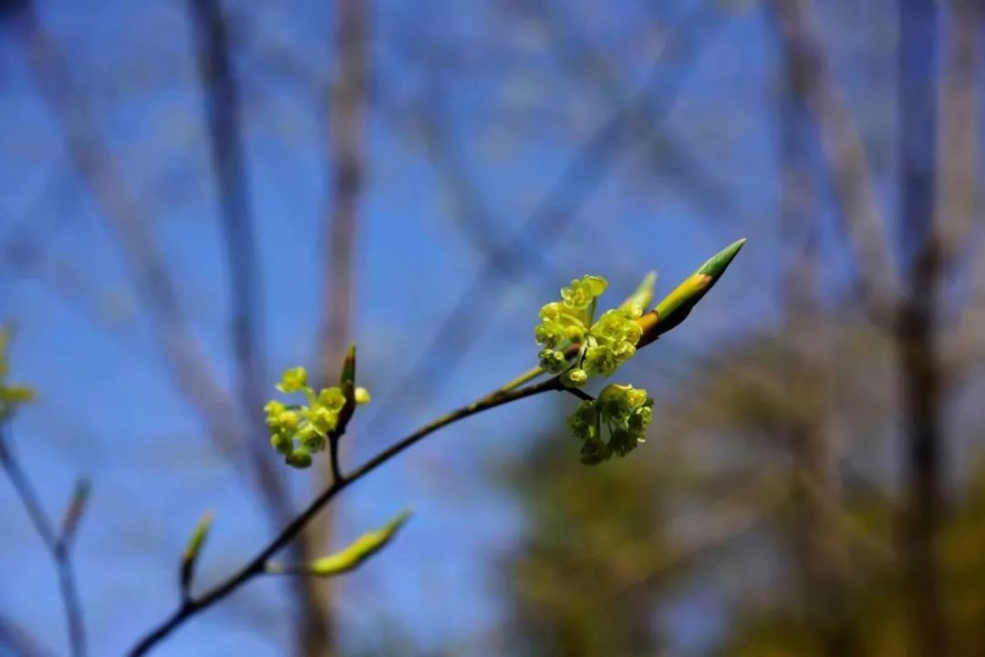 汉江|从0℃到100℃，感受汉江之源的温度…