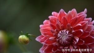 菩萨|身份证最后一位数是这三个数，有菩萨保佑，一生都有好运气
