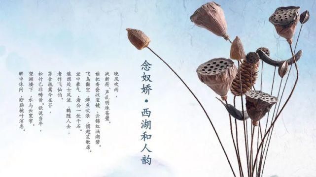  淡雅|淡雅荷花中国文化传统国学PPT模板