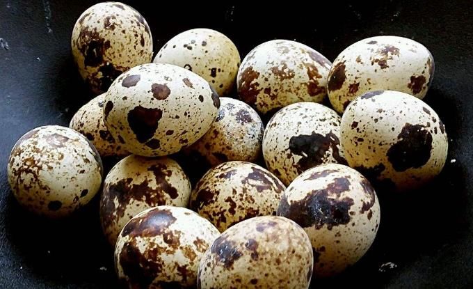  长期|鹌鹑蛋的不同吃法，让食补大于药补，长期吃有利无害