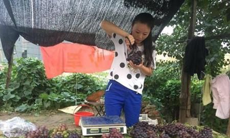  摆摊|草帽姐近况曝光！曾在“星光大道”走红，今路边卖摆摊葡萄