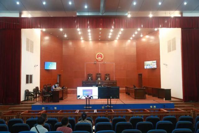 公开审理|公开审理！罗平又打掉一起涉恶势力犯罪团伙…