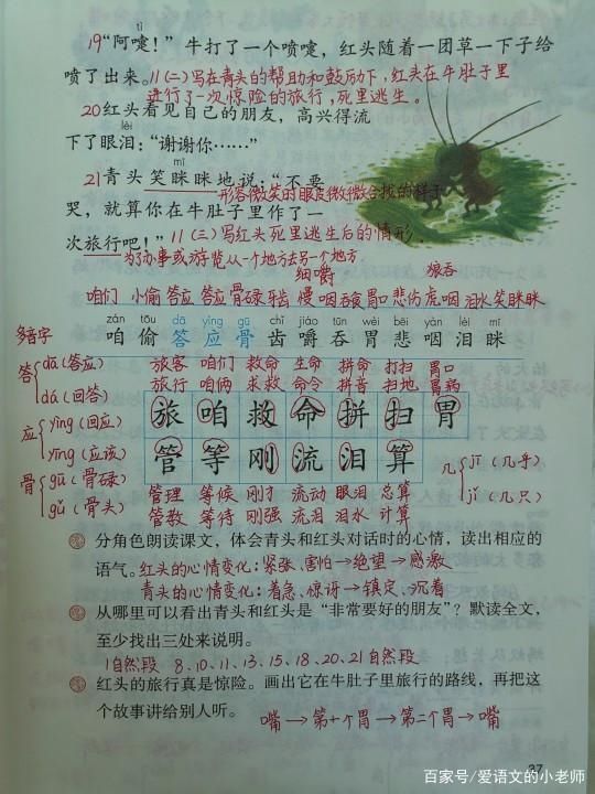  青头|三年级语文上册《在牛肚子里旅行》预习笔记，真的友谊是雪中送炭