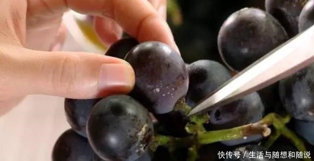 葡萄|菜市场买葡萄要注意,注意这2种葡萄不要买,多亏商贩提醒